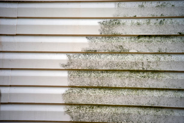 Best Residential Vinyl Siding Installation  in Medford Lakes, NJ