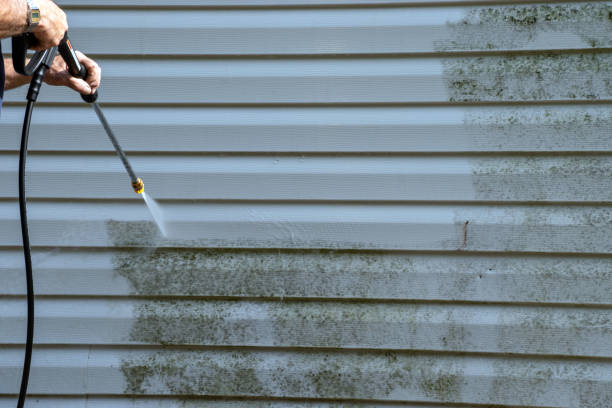 Best Historical Building Siding Restoration  in Medford Lakes, NJ